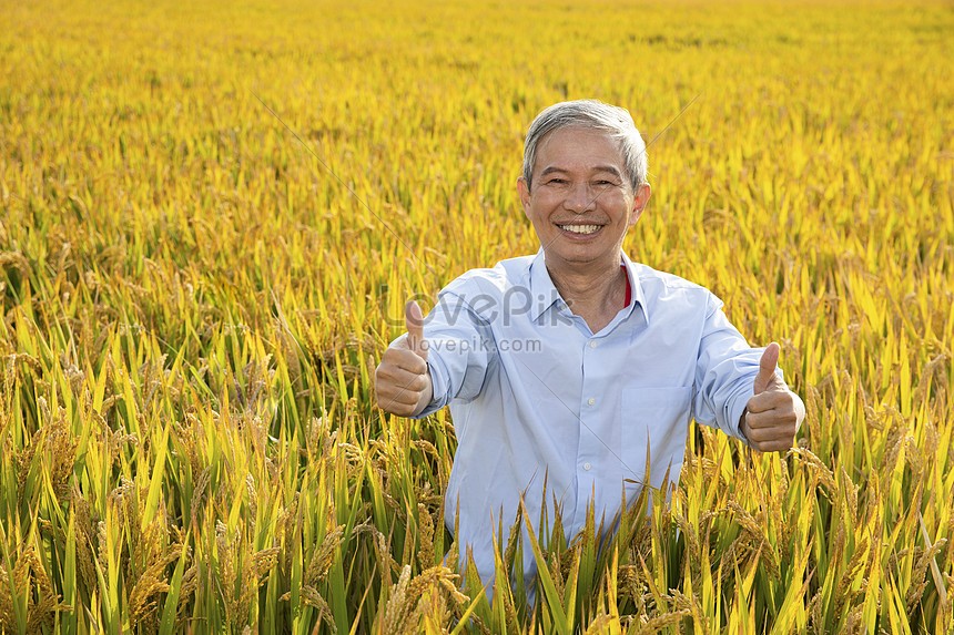 Nông dân - lực lượng quyết định thành bại của Nông nghiệp Hữu cơ