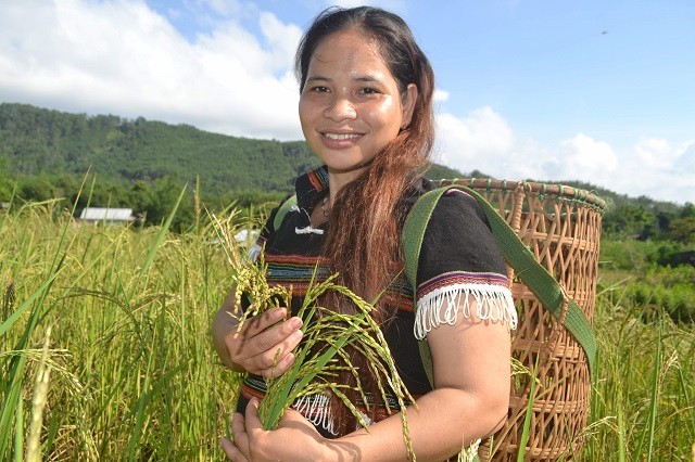 Câu chuyện nông dân A Lưới 