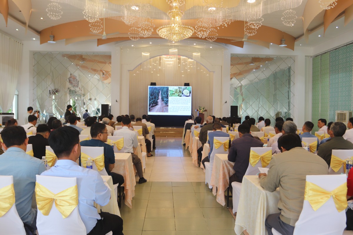 Lâm Đồng: Tăng cường công tác quản lý chất lượng sản phẩm sầu riêng phục vụ xuất khẩu