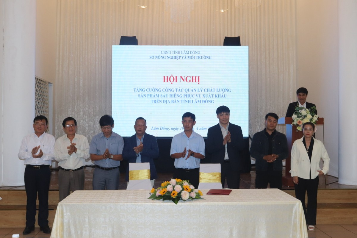 Lâm Đồng: Hội nghị tăng cường công tác quản lý chất lượng sản phẩm sầu riêng phục vụ xuất khẩu