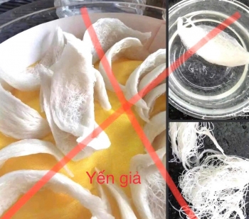 Tăng mức phạt đối với các vi phạm về vệ sinh an toàn thực phẩm trong ngành Yến sào
