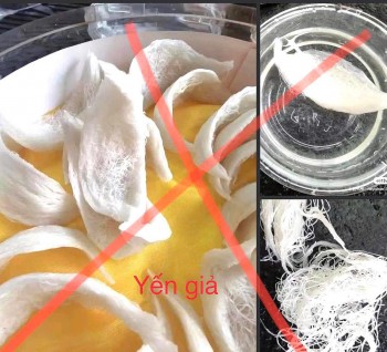 Tăng mức phạt đối với các vi phạm về vệ sinh an toàn thực phẩm trong ngành Yến sào