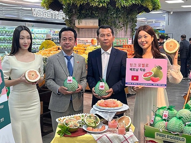 Bưởi Việt Nam chính thức bày bán tại siêu thị Lotte Mart Hàn Quốc