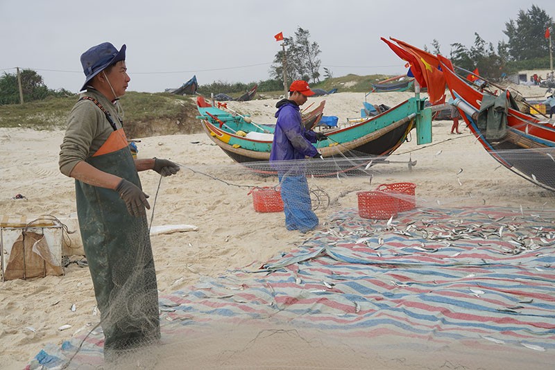 Quảng Bình: Tổng sản lượng thủy sản trên địa bàn toàn tỉnh đạt trên 18.232 tấn trong quý I/2025