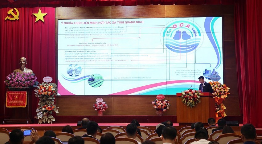 Liên minh HTX tỉnh cũng đã ra mắt Logo và website