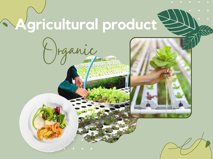 Tuân thủ chứng nhận hữu cơ –  bản lề của nông nghiệp hữu cơ