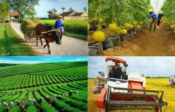 Vai trò và vị thế của nông dân trong HTX nông nghiệp đối với nền kinh tế