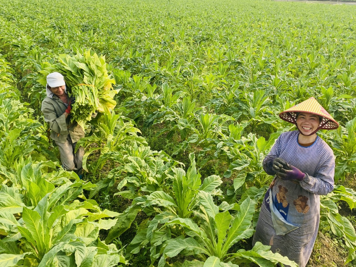 Cao Bằng: Giai đoạn 2021 - 2025, triển khai 1.605 dự án, kế hoạch hỗ trợ phát triển sản xuất