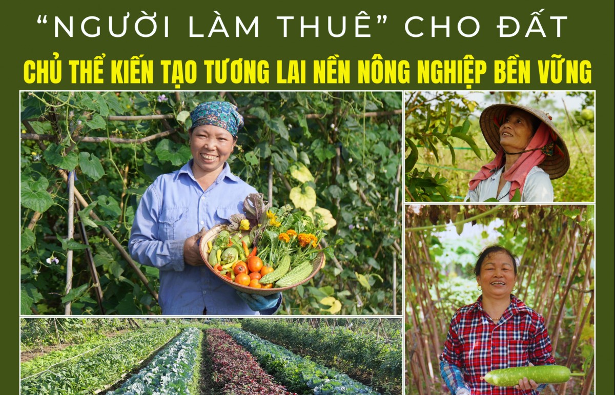 “Người làm thuê” cho đất, chủ thể kiến tạo tương lai nền nông nghiệp bền vững