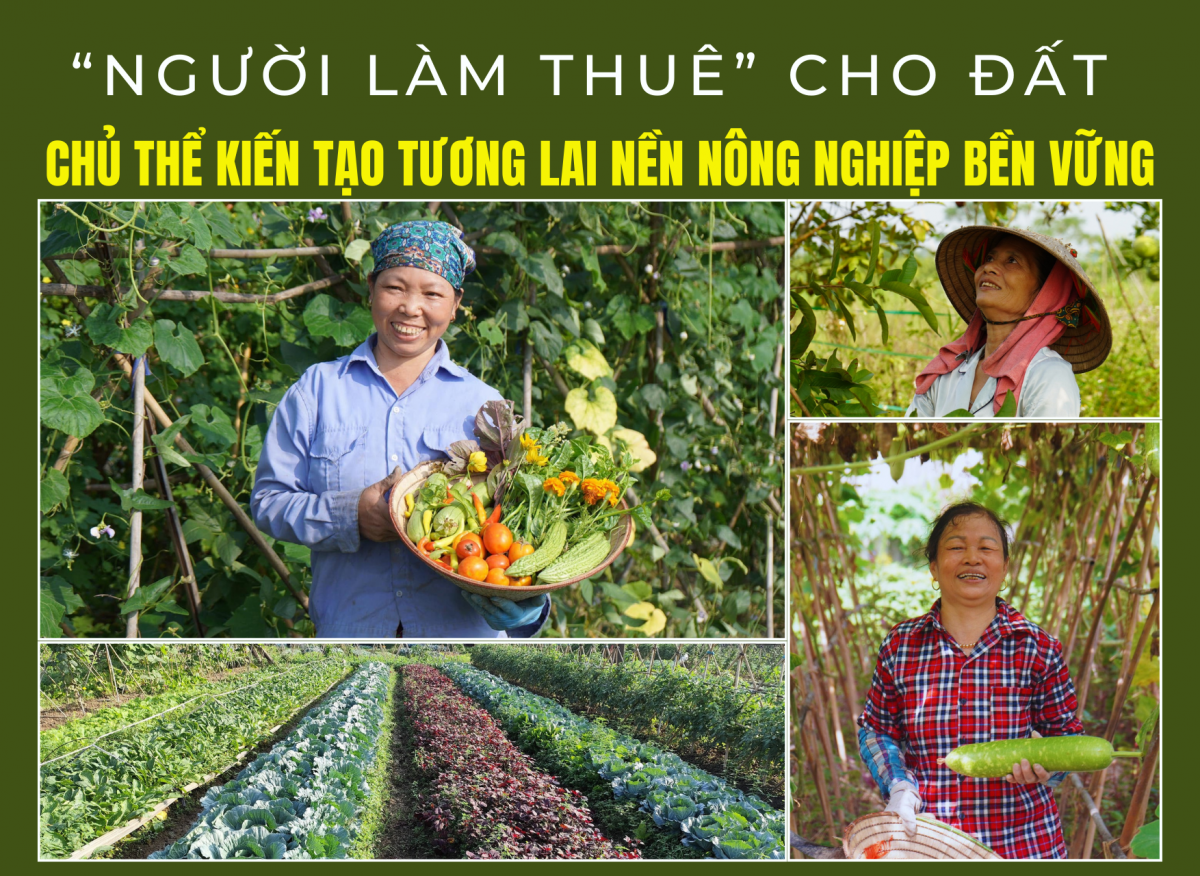 “Người làm thuê” cho đất, chủ thể kiến tạo tương lai nền nông nghiệp bền vững