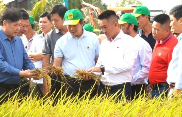 Thương hiệu Bình Điền: Từ chất lượng đến niềm tin
