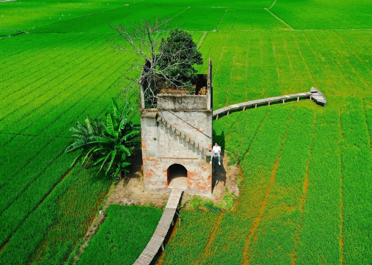 Nghệ An chủ động thích ứng để nâng cao sản lượng lương thực vụ Hè Thu