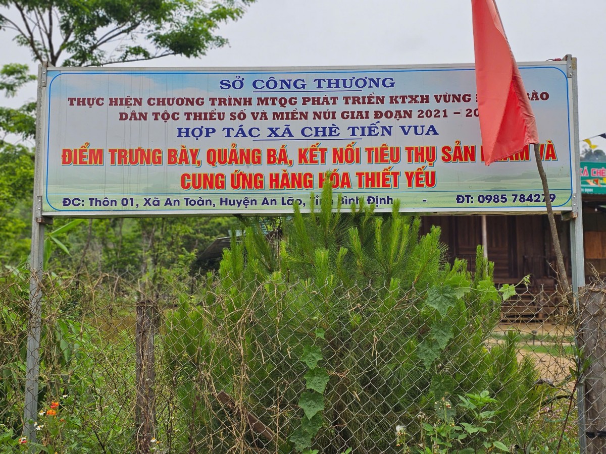 Bình Định: Hợp tác xã Chè Tiến Vua bộc lộ sai phạm về đất đai, xây dựng
