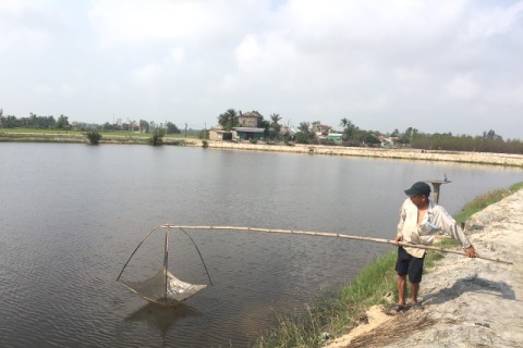 Huế: Hướng đi mới cho thuỷ sản hữu cơ bền vững