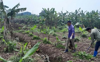 Phú Yên: Thực hiện đơn giản hóa thủ tục hành chính trong hoạt động sản xuất, kinh doanh