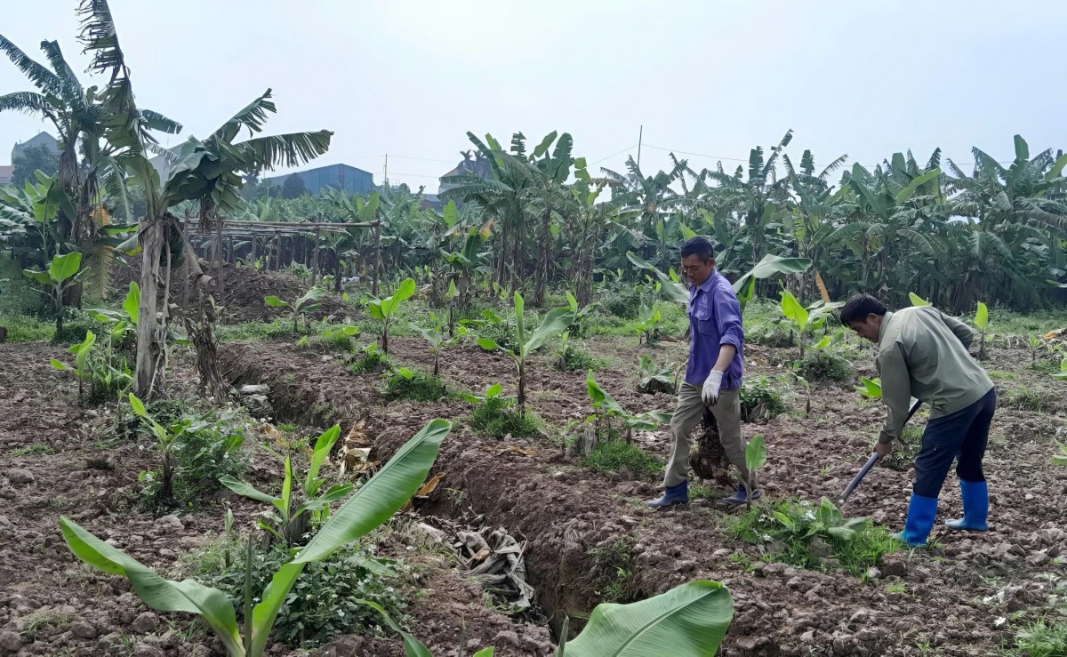 Phú Yên: Thực hiện đơn giản hóa thủ tục hành chính trong hoạt động sản xuất, kinh doanh