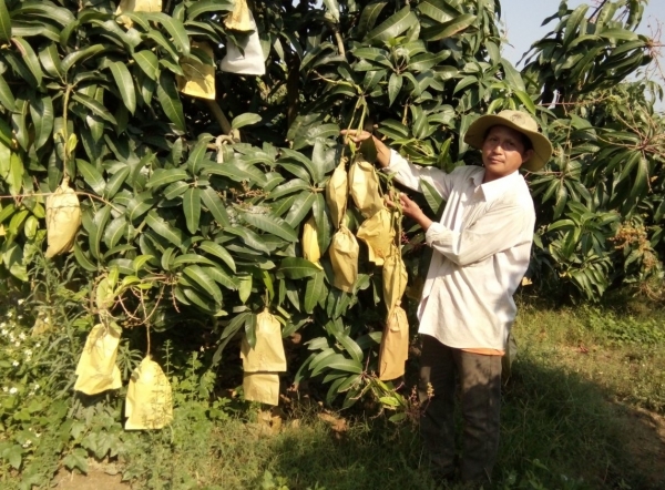 Đắk Lắk đẩy mạnh đảm bảo ATTP và phát triển thị trường nông sản