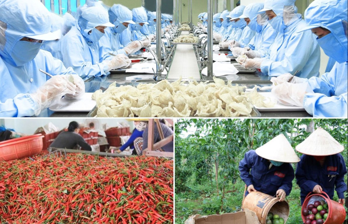 Việt Nam ký nghị định thư và thỏa thuận về lĩnh vực nông nghiệp môi trường với Trung Quốc