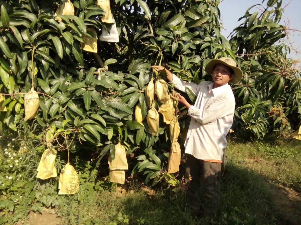 Đắk Lắk đẩy mạnh đảm bảo ATTP và phát triển thị trường nông sản