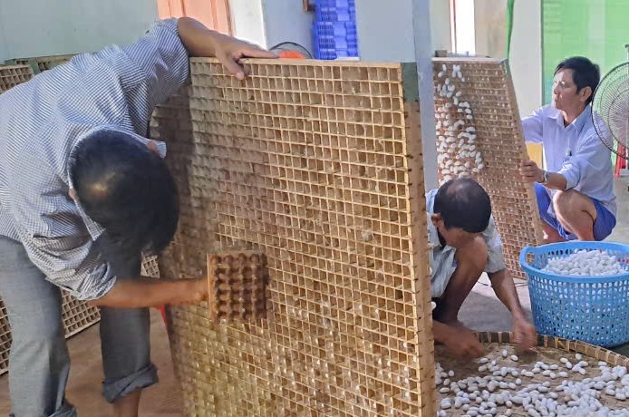 Phú Yên: Khôi phục phát triển Làng nghề trồng dâu nuôi tằm xã Hòa Phong