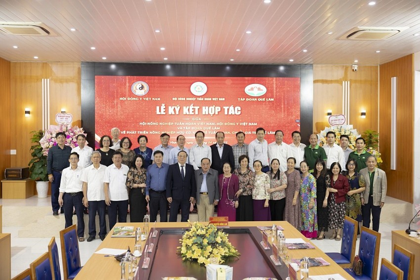 Chương trình hợp tác 