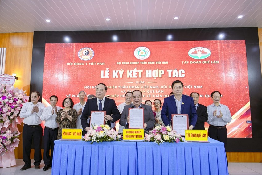 Chương trình hợp tác 