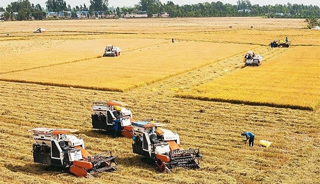 Chứng nhận hữu cơ: Bài toán “khó” cho doanh nghiệp nhỏ