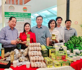 Hơn 15.000 nông dân hưởng lợi từ Chương trình Hỗ trợ rừng và trang trại