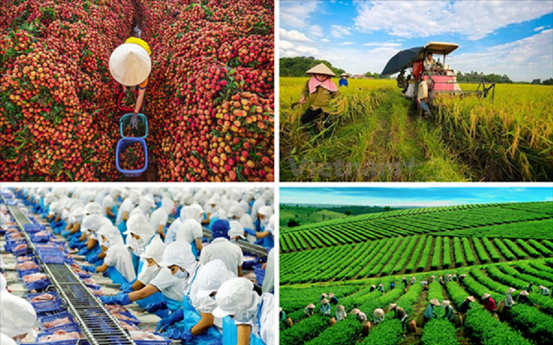 6 nội dung tuyên truyền trọng tâm về nông nghiệp và môi trường năm 2025 6 nội dung tuyên truyền trọng tâm về nông nghiệp và môi trường năm 2025