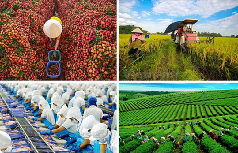 6 nội dung tuyên truyền trọng tâm về nông nghiệp và môi trường năm 2025