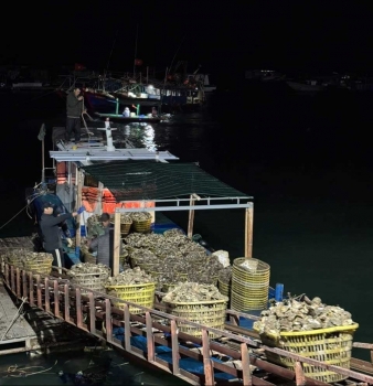 Quảng Ninh: Những chuyến tàu khai thác hàu nuôi đầu tiên sau bão Yagi