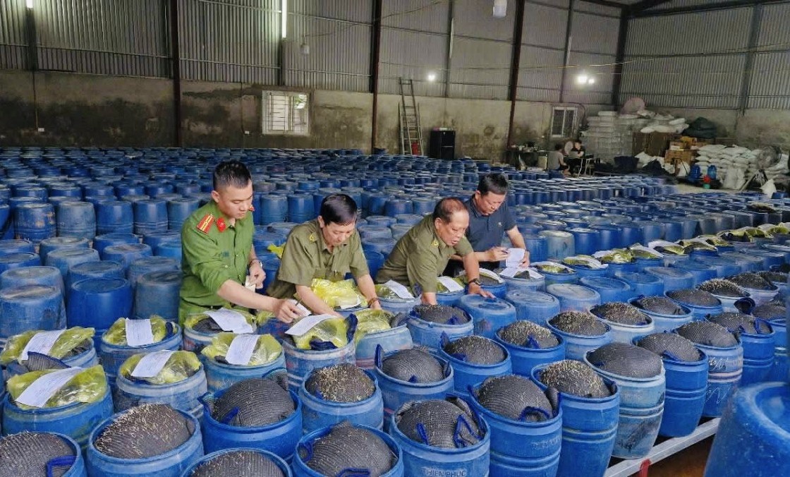 Phát hiện đường dây sản xuất 3.500 tấn giá đỗ ngâm hóa chất cấm tại Nghệ An
