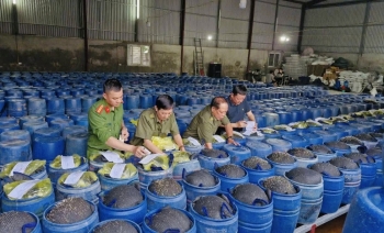 Phát hiện đường dây sản xuất 3.500 tấn giá đỗ ngâm hóa chất cấm tại Nghệ An