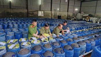 Phát hiện đường dây sản xuất 3.500 tấn giá đỗ ngâm hóa chất cấm tại Nghệ An