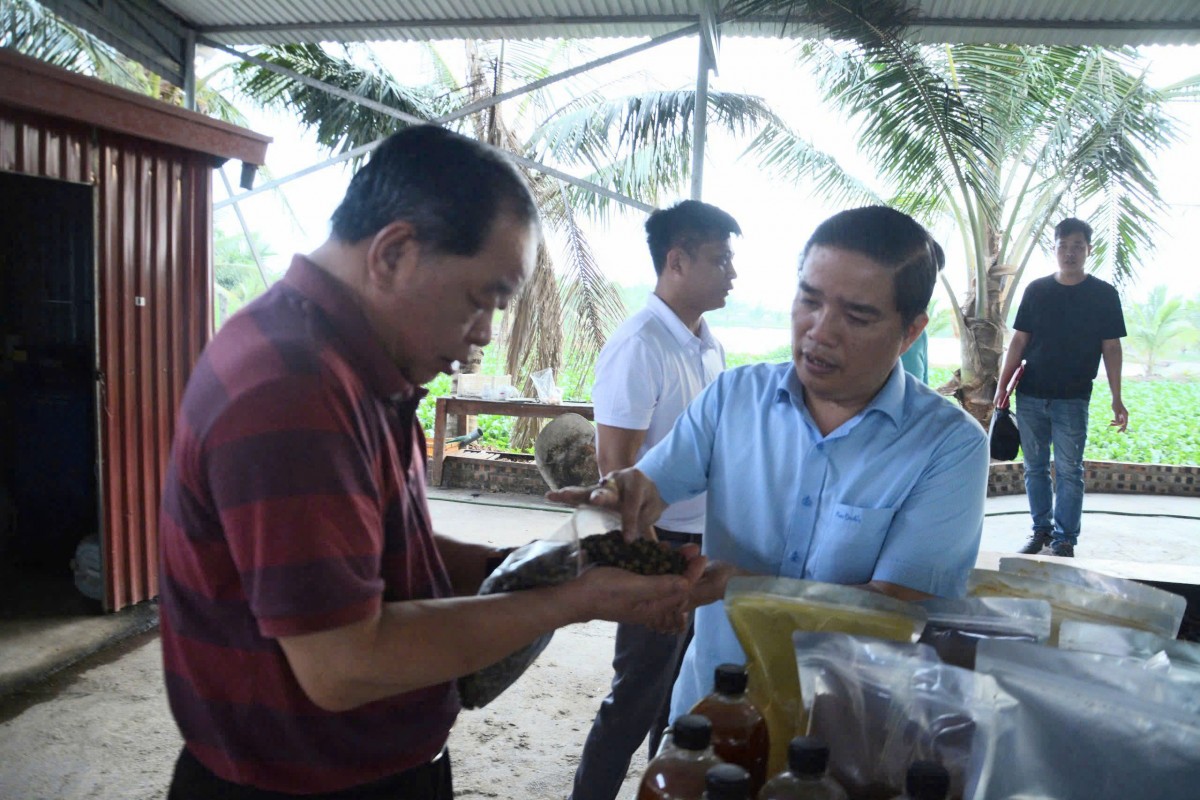 Chủ tịch Hiệp hội Nông nghiệp Hữu cơ Việt Nam thăm và làm việc tại trang trại cá Koi lớn nhất TP Hải Phòng