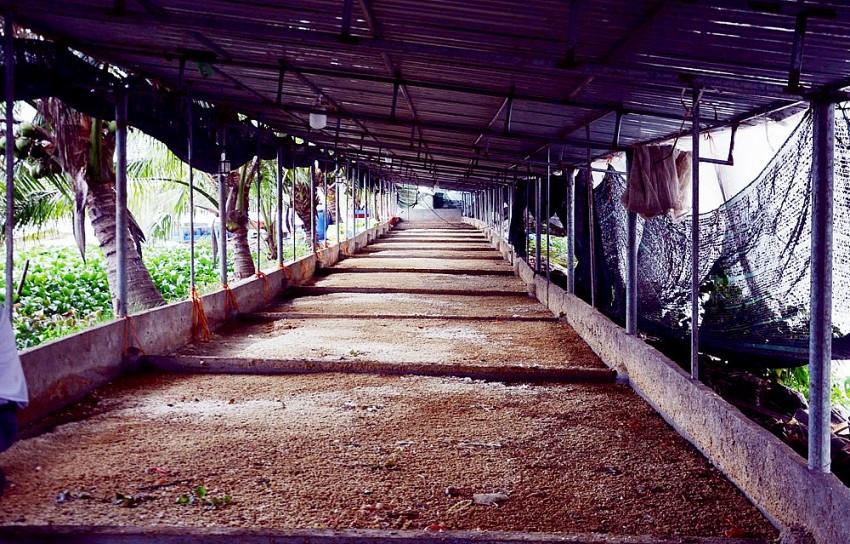 Chủ tịch Hiệp hội Nông nghiệp Hữu cơ Việt Nam thăm và làm việc tại trang trại cá Koi lớn nhất TP Hải Phòng