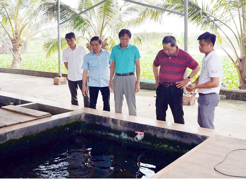 Chủ tịch Hiệp hội Nông nghiệp Hữu cơ Việt Nam thăm và làm việc tại trang trại cá Koi lớn nhất TP Hải Phòng