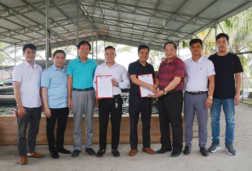 Chủ tịch Hiệp hội Nông nghiệp Hữu cơ Việt Nam thăm và làm việc tại trang trại cá Koi lớn nhất TP Hải Phòng