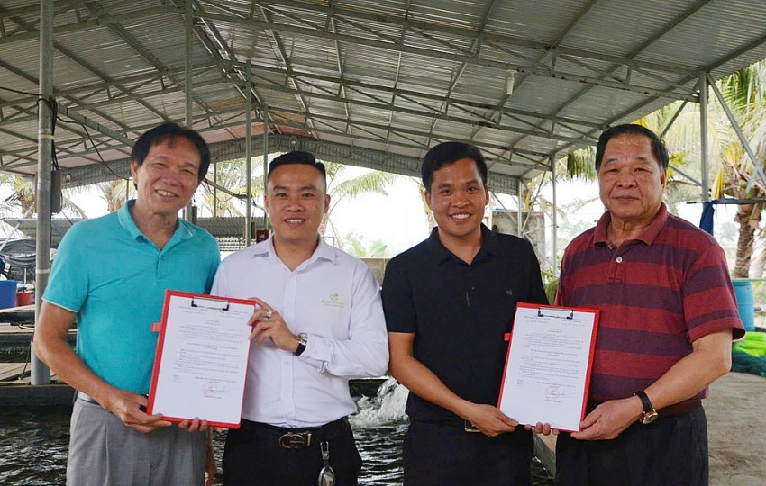 Chủ tịch Hiệp hội Nông nghiệp Hữu cơ Việt Nam thăm và làm việc tại trang trại cá Koi lớn nhất TP Hải Phòng