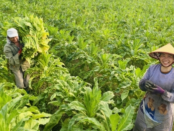 Hội Nông dân Hoà An điểm tựa của nông dân trong phát triển kinh tế nông nghiệp