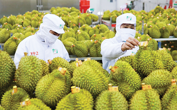 Phải kiểm soát chặt chẽ mới có thể duy trì ở những thị trường khó tính
