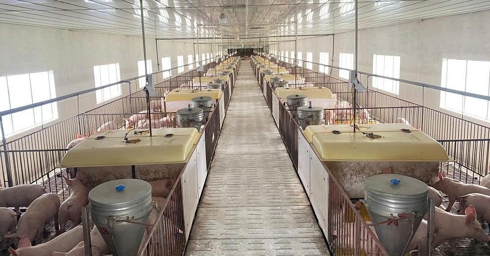 Khởi nghiệp thành công từ mảnh đất cằn