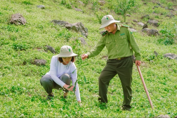 Hòa Bình: Trồng mới 30.000 cây xanh nhằm phục hồi 50 ha rừng tự nhiên