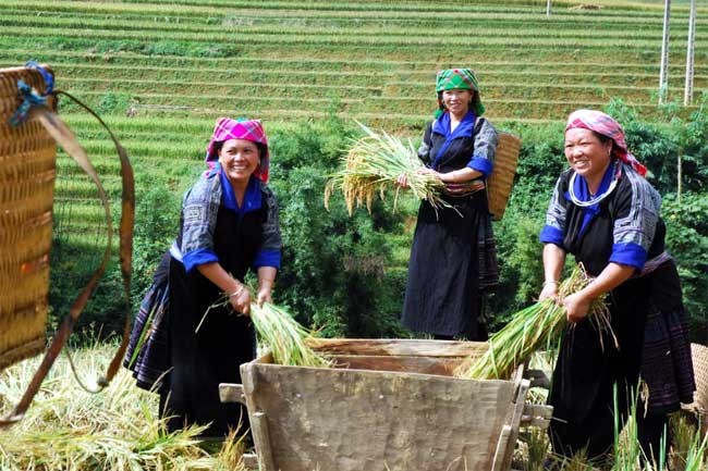 5 thủ tục hành chính cấp xã được chuẩn hóa lĩnh vực giảm nghèo
