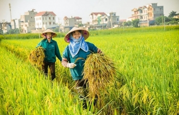 Nông, lâm nghiệp và thủy sản được ưu tiên vay vốn "xanh"