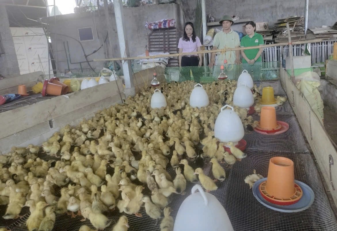 Hiệu quả từ mô hình nuôi, sản xuất con giống