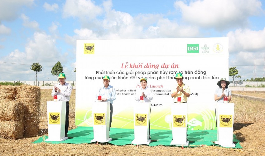 Cơ giới hóa quản lý rơm rạ: 
