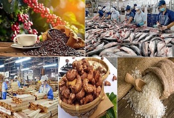 Đòn bẩy phát triển Nông nghiệp Hữu cơ và kinh tế tư nhân