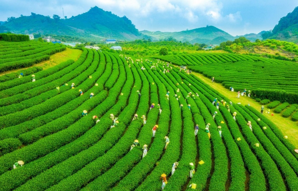 Cam kết trung hòa các-bon năm 2050 và phát huy tinh thần "3 sẵn sàng"