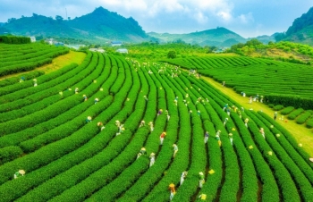 Cam kết trung hòa các-bon năm 2050 và phát huy tinh thần "3 sẵn sàng"
